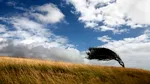 Cod galben de vreme rea. Meteorologii anunță vânt puternic și ceață periculoasă