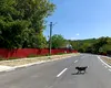Primăriile-fantomă dintr-un județ, care costă aproape 40 de milioane de euro pe an
