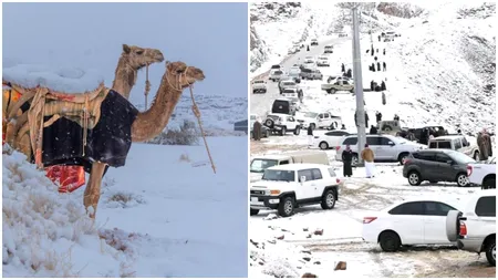 Fenomen rar în deșertul Arabiei Saudite: ninsoare istorică și cămile bulversate în Arabia Saudită