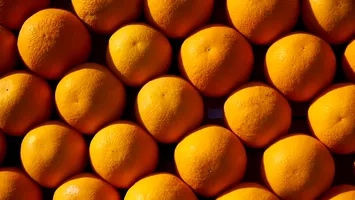 Tone de fructe cu pesticide din Egipt, vândute ca produse grecești în supermarketuri. Percheziții de amploare