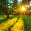 Vremea se schimbă de la mijlocul săptămânii. Cât de cald va fi în următoarele zile