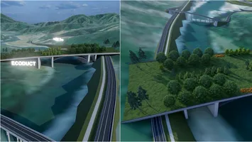 România construiește cel mai mare pod pentru animale. O soluție inovatoare pentru traversarea Oltului