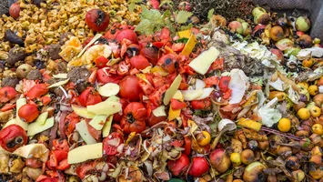 România, pe locul I la risipa alimentară
