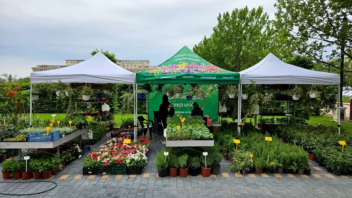 „Toamna Horticolă Bucureşteană - Ziua Recoltei'', un regal de frumusețe și de gusturi