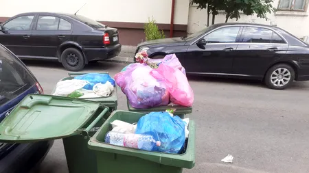 Gunoi în Sectorul 1: Deșeurile neridicate se înmulțesc, situația se agravează (Foto)