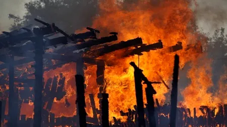 Incendiu la un saivan de lângă Arad; 60 de animale și-au pierdut viața