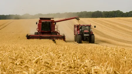 Ucraina: Recolta de cereale în acest an ar putea scădea până la 52,5 - 55,4 milioane de tone