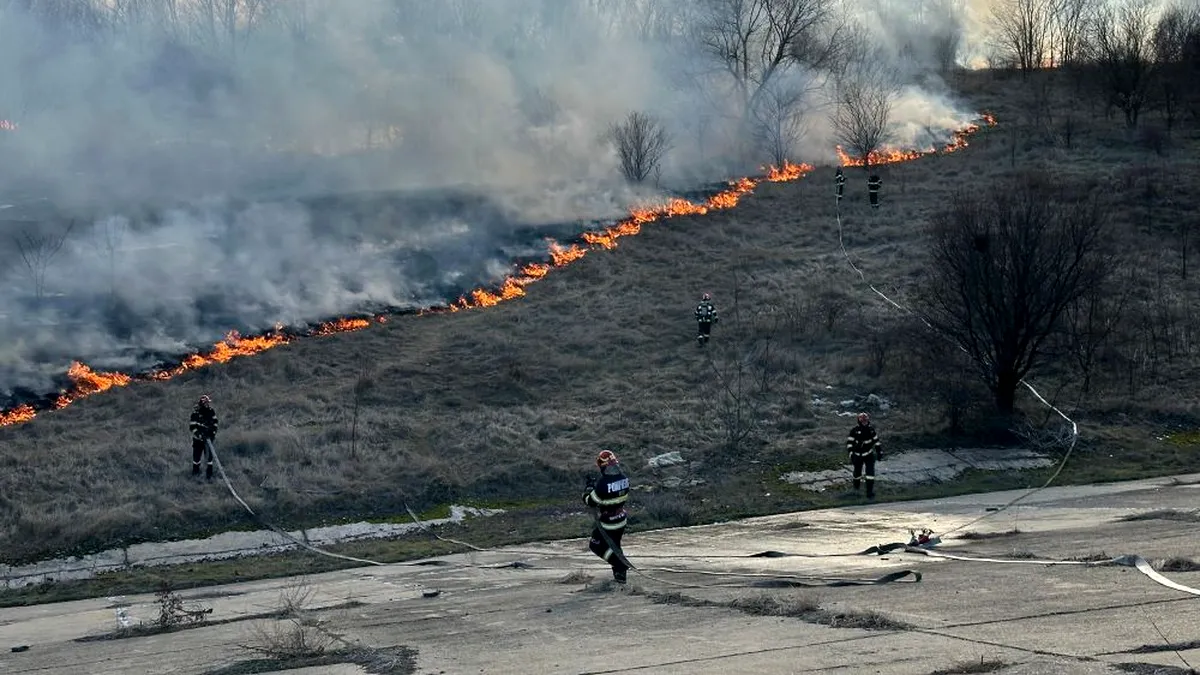 Incendiu puternic în Delta Văcărești din Capitală (Video)