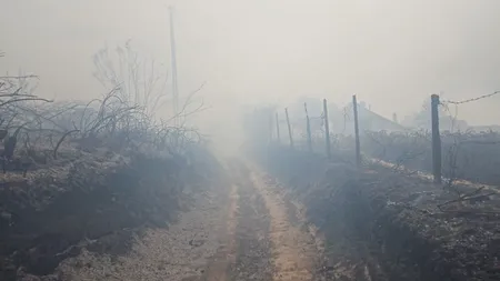 ISU Dobrogea a stins un incendiu de proporții la Dunăreni