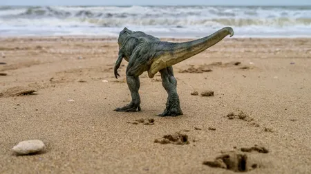 O fetiță de 10 ani a găsit urme de dinozaur: descoperire paleontologică surprinzătoare pe o plajă din Țara Galilor
