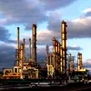 Rompetrol Rafinare revine pe profit după marje record, dar bilanțul o desparte de principalul concurent printr-o adevărată „prăpastie”
