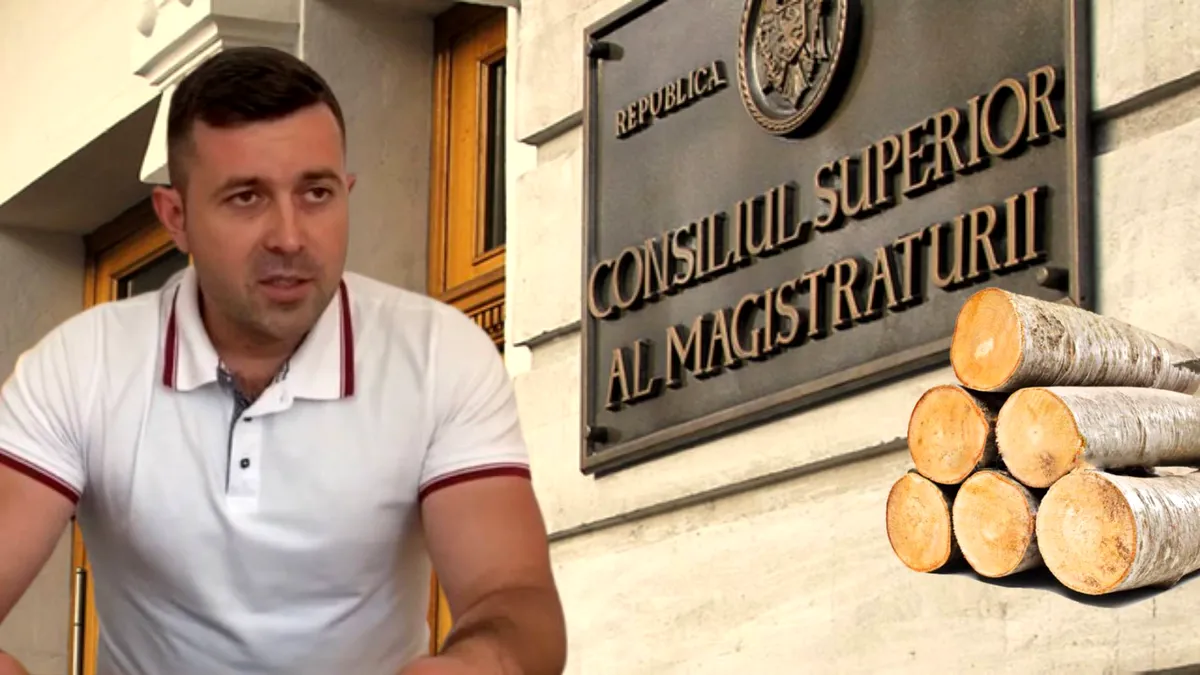 Candidatul la șefia Parchetului Vrancea, Ionuț Drîmbă, susținut de elita infractorilor locali și a mafiei lemnului