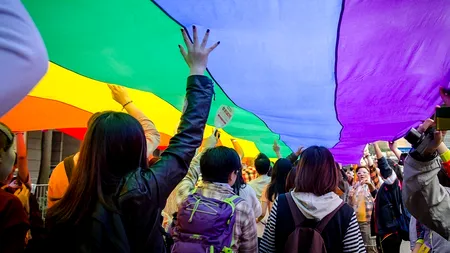 Proteste împotriva legii ce permite căsătoria cuplurilor homosexuale, în Lituania
