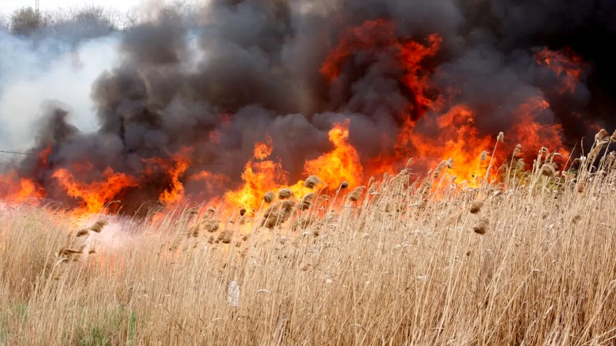 Buzău: Incendiile de vegetaţie uscată în creştere cu 171%