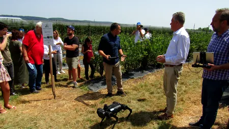 Nero, câinele agricol care salvează recolte de sute de mii de euro