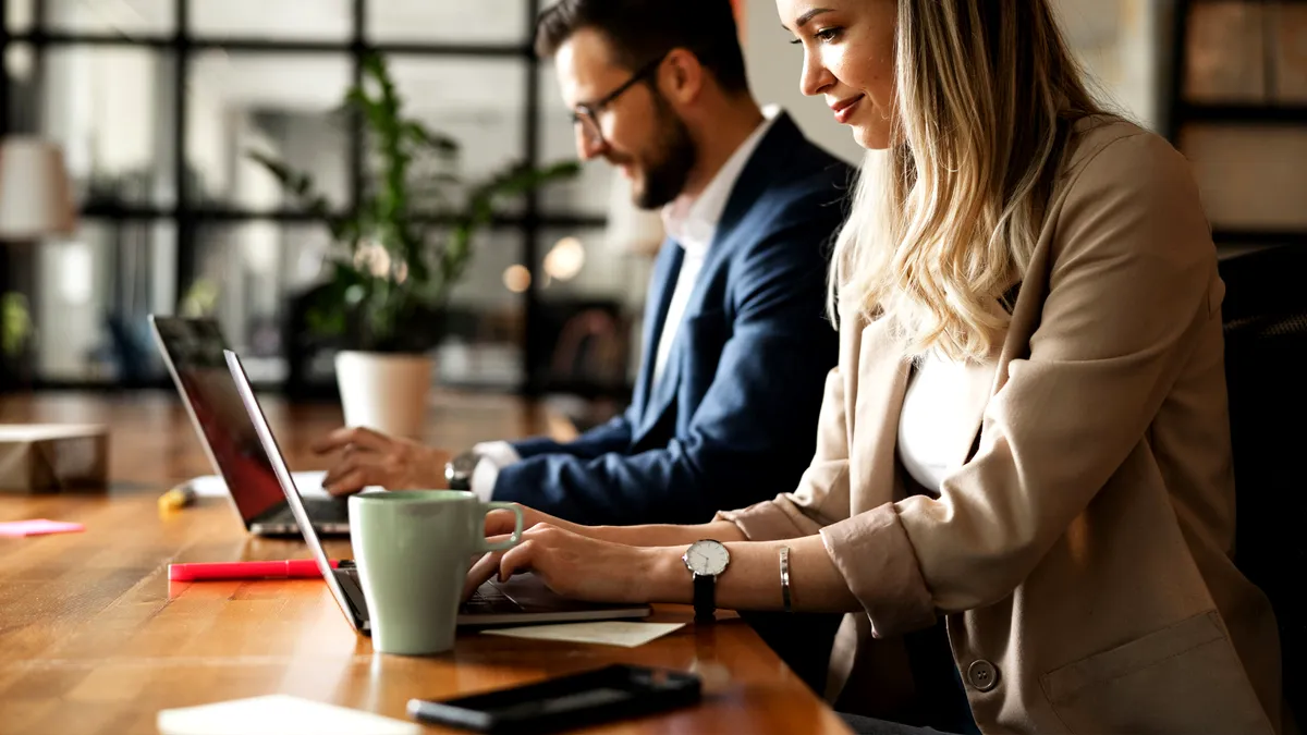 Gata cu labirintul: toate informațiile financiare vor fi centralizate online. Se adoptă legea ESAP