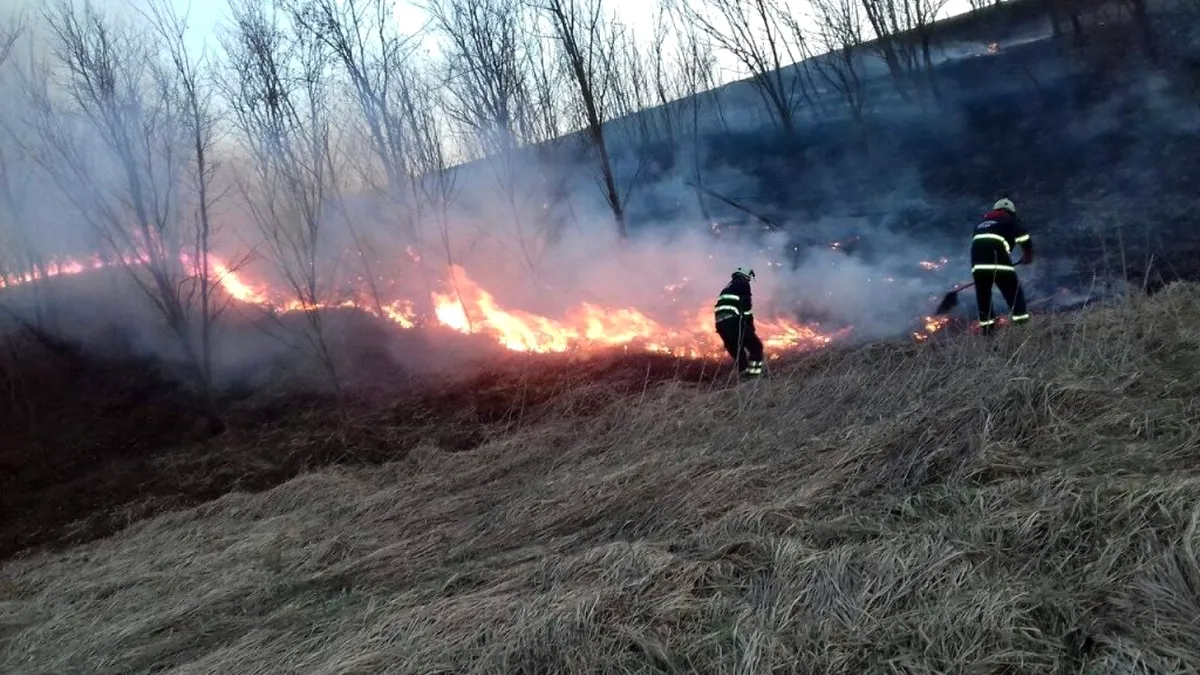 Incendiu puternic de vegetație în Tulcea. Câte hectare au ars