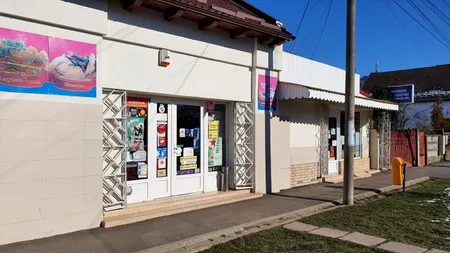 REPORTAJ/ Spiritul zeiţei Nemesis, într-un magazin din Satu Mare; locul unde binele se face în linişte