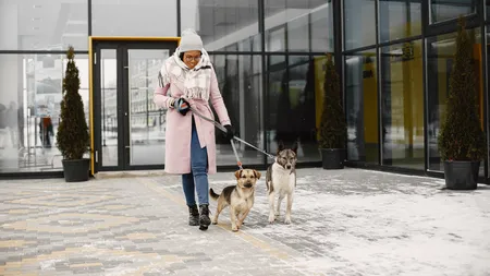 Vești bune pentru iubitorii de animale. Undă verde pentru câini în mall