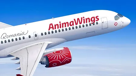 AnimaWings a ajuns pârâtă în 6.470 de procese în 2026, de la doar două în 2023. Doar în septembrie, o treime din litigiile cu companiile aeriene din România au vizat-o