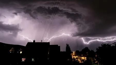 Cod galben de vijelii în 30 de județe din țară