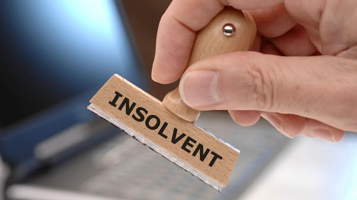 Câte firme au intrat în insolvență în 2024?