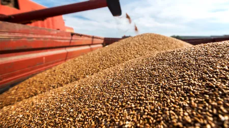 Îngrijorător: nu românii vând cerealele României! Nici o companie românească în Top 10 traderi!