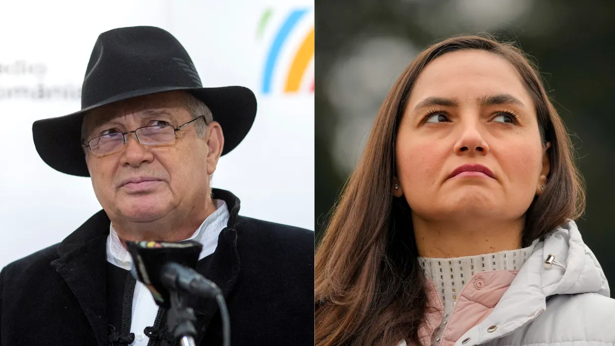 Anamaria Gavrilă, ținta unor atacuri dure. Mircea Dinescu critică aspirațiile sale politice: Semianalfabetă
