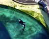 Două balene, abandonate într-un parc acvatic dezafectat