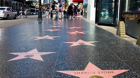 Top 10 celebrități ale căror stele de pe Walk of Fame au fost vandalizate