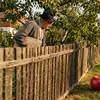 Dileme de curte: la câți metri de gardul vecinului poți planta pomi