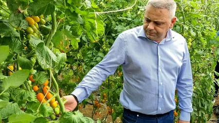 Florin Barbu: Asigurăm fondurile necesare pentru programele Tomata, Usturoiul şi Cartoful Românesc