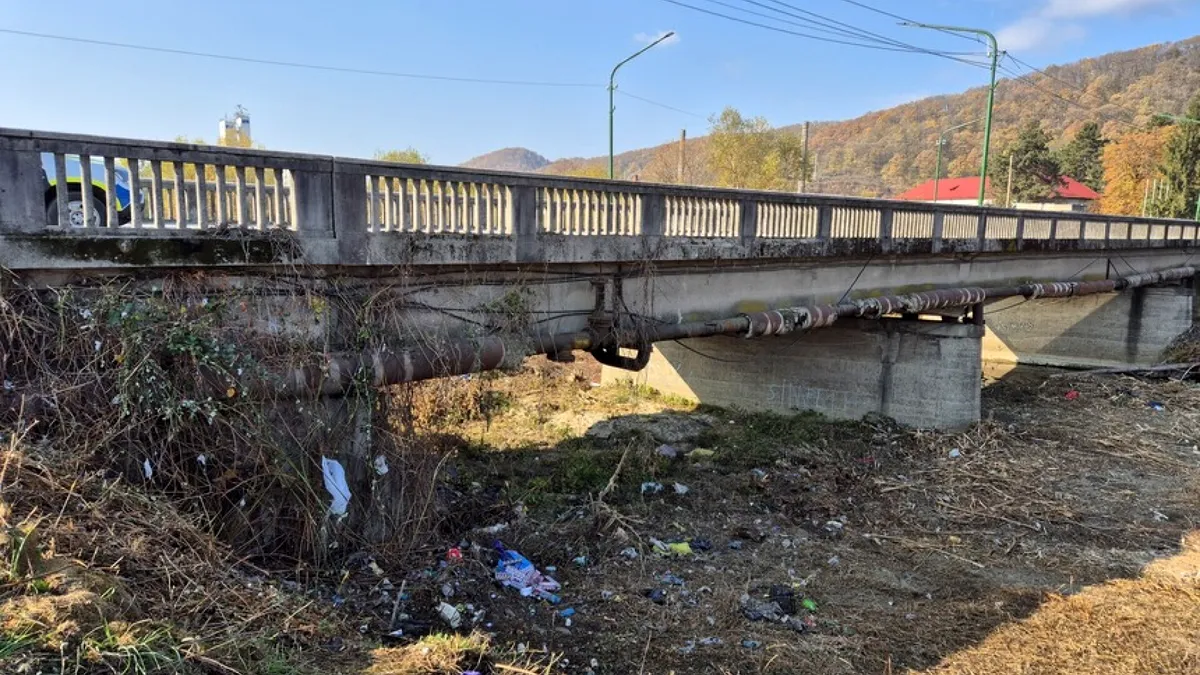 Hoții de țigări și podul: ce-a fost în capul lor?