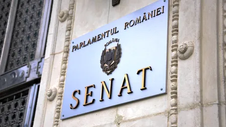 Cine este cel mai bine remunerat senator al României