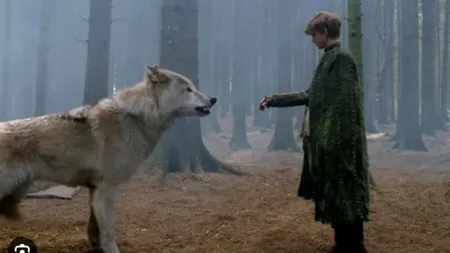Lupii roșii din Game of Thrones, specie dispărută acum 13 mii de ani, au fost clonați cu succes