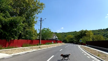 Primăriile-fantomă dintr-un județ, care costă aproape 40 de milioane de euro pe an