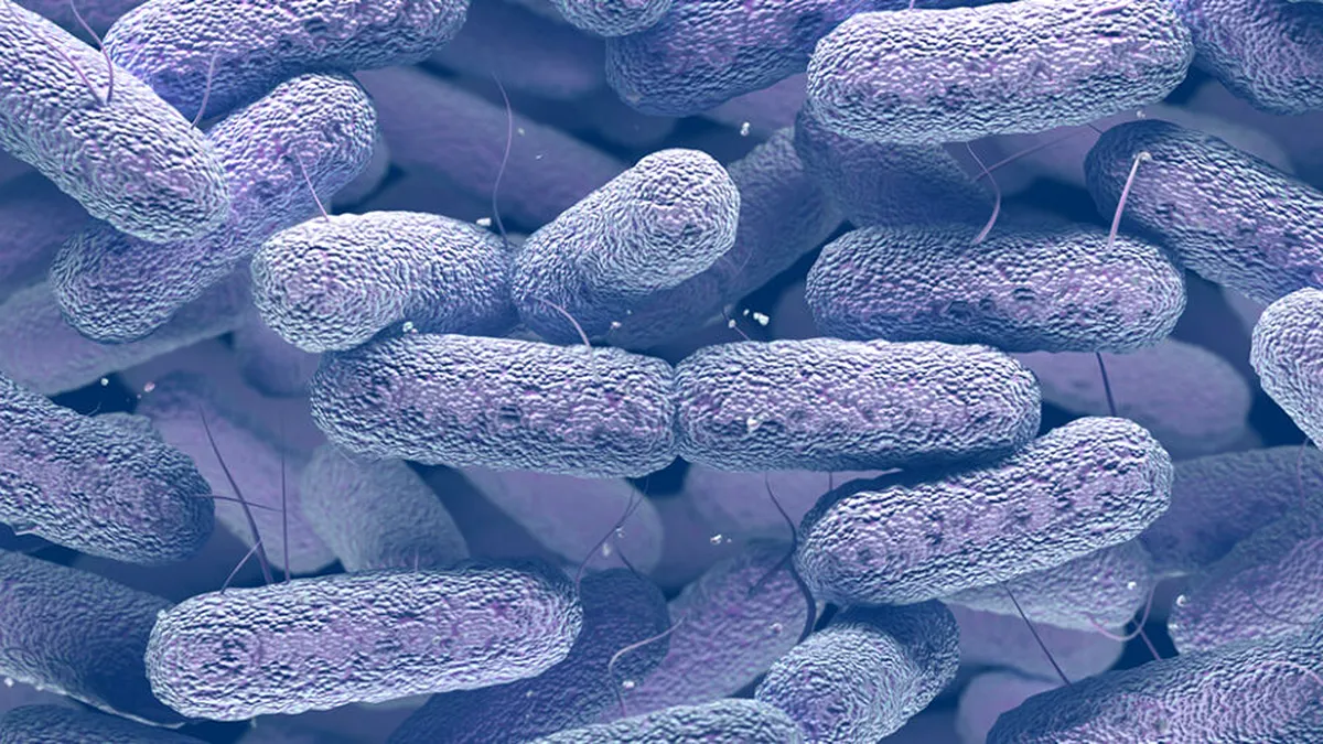 Avertisment urgent al OMS: Superbacteria detectată în 16 țări