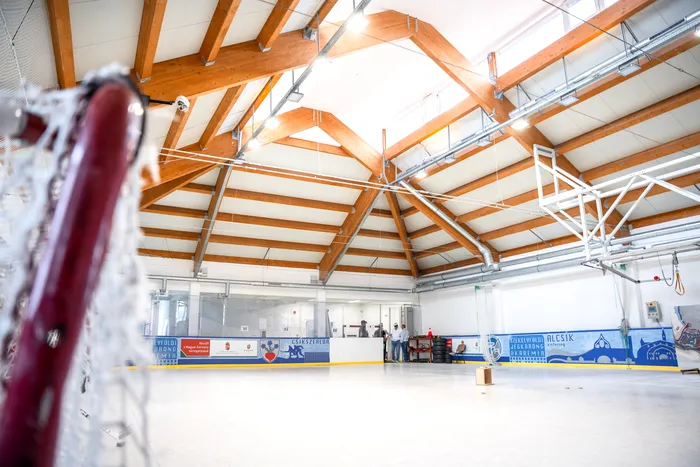 Ion Ţiriac, din nou pe gheață. Patinoare noi pentru tinerii din România