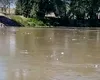 Tone de deșeuri coboară pe Someș, spre Ungaria (Video)