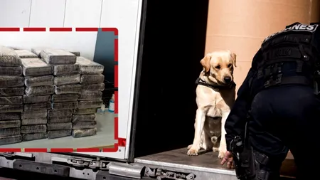 Român prins cu 50 kg de cocaină în camion, pe o autostradă din Franța