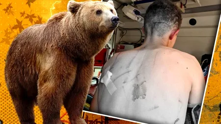 Fostul ministru al Mediului reacționează dur după atacul fatal al unui urs asupra unei tinere: 