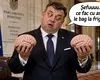 Creierul uman are două „organe”. La unii politicieni, evoluția pare să fi lăsat lucrarea neterminată
