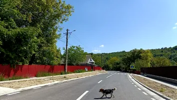Primăriile-fantomă dintr-un județ, care costă aproape 40 de milioane de euro pe an