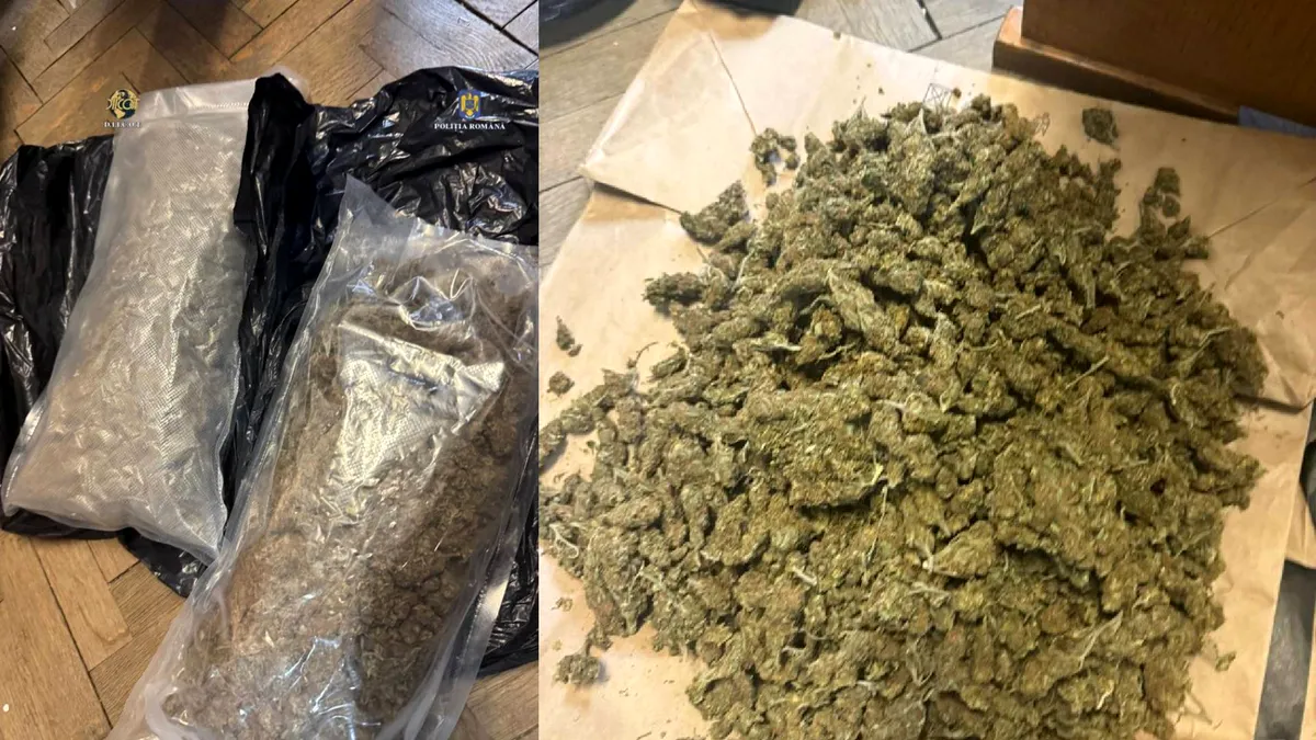 Piața neagră: Cu cât se vinde kilogramul de canabis în județul Timiș