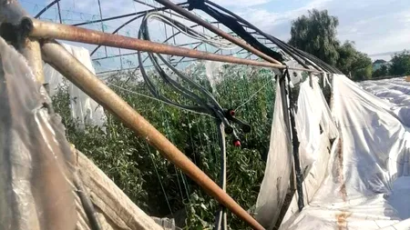 Dezastru în Olt: Vijeliile au pus la pământ solariile legumicultorilor din Strejești (FOTO)