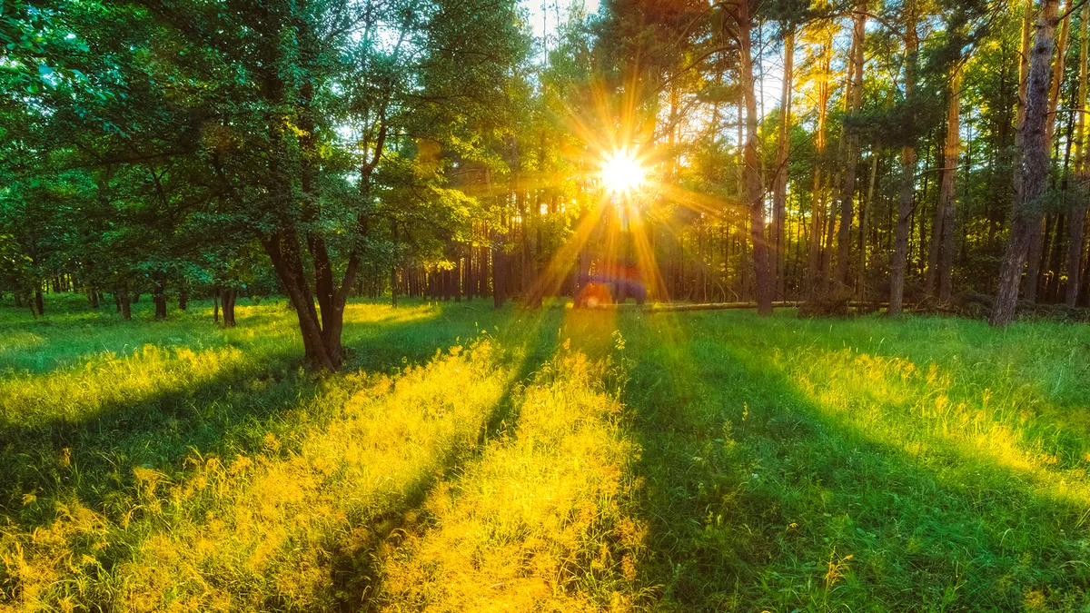 Vreme numai bună pentru iarbă verde, de Rusalii. Ce temperaturi vor fi la începutul verii