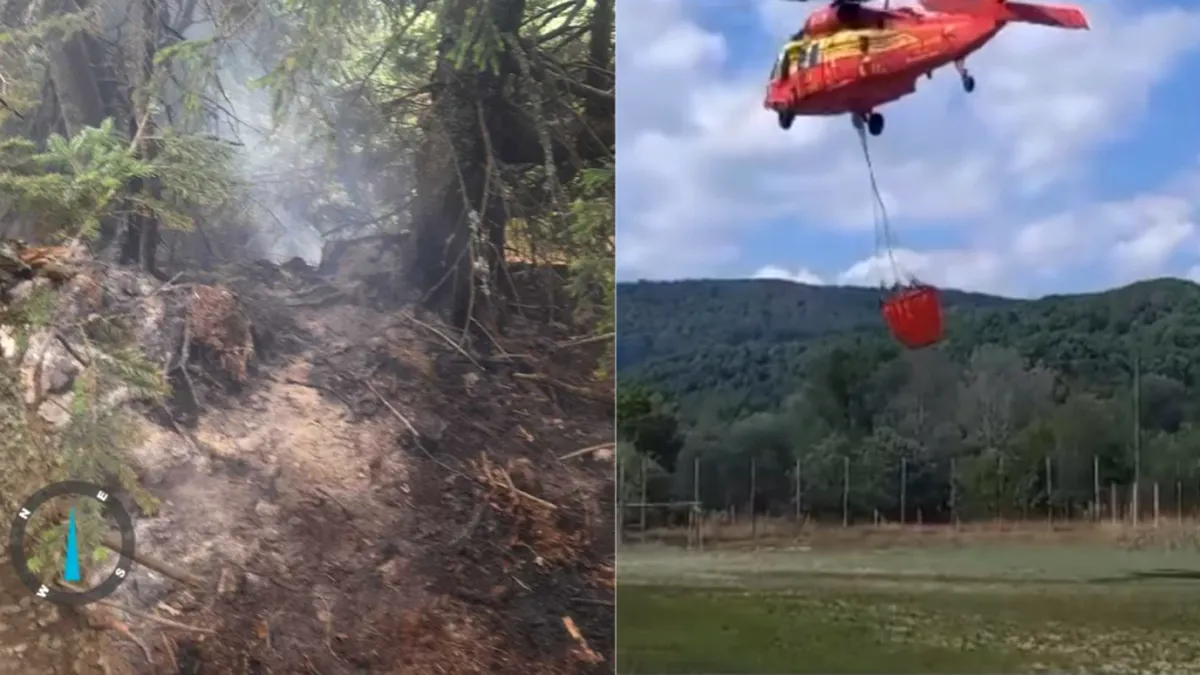 Incendiu forestier de amploare în Vâlcea. A intervenit un elicopter