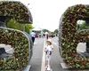 Grădini spectaculoase și concerte la West Side Flower Fest. Podul din parc, transformat în basm floral