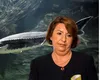 Decont pentru fostul ministru al Mediului, Sulfina Barbu: România a pierdut 60.000.000 de euro și trebuie să plătească despăgubiri de 300.000 de euro pentru pescarii din Delta Dunării