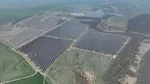 Iepurești, iepurele solar care sare direct în rețeaua națională